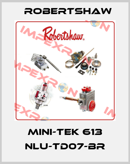MINI-TEK 613 NLU-TD07-BR Robertshaw