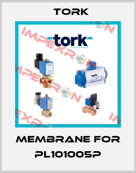 membrane for PL101005P Tork