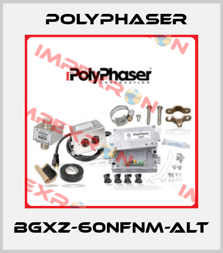 BGXZ-60NFNM-ALT Polyphaser
