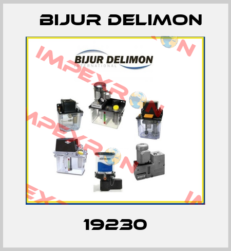 19230 Bijur Delimon