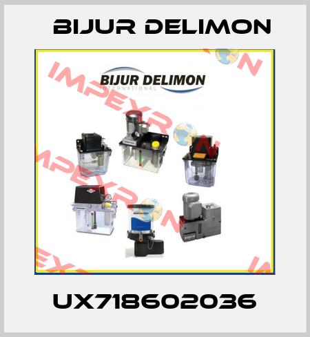UX718602036 Bijur Delimon