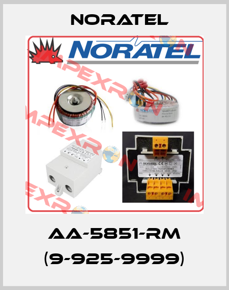 AA-5851-RM (9-925-9999) Noratel