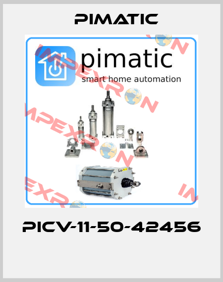 PICV-11-50-42456  Pimatic