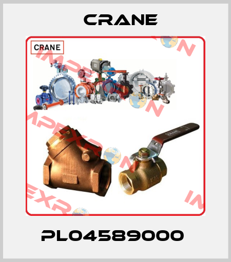 PL04589000  Crane