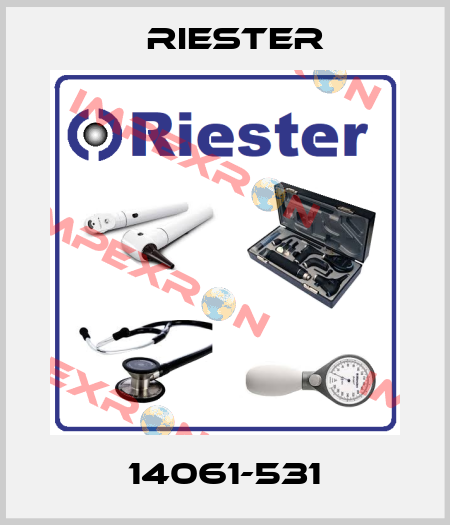 14061-531 Riester
