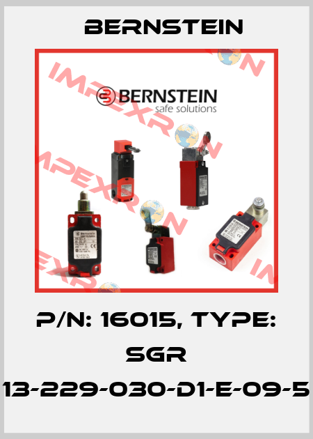 P/N: 16015, Type: SGR 13-229-030-D1-E-09-5 Bernstein