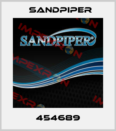454689 Sandpiper