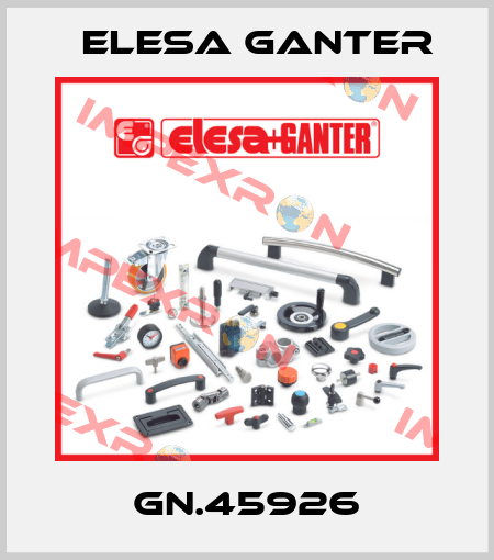 GN.45926 Elesa Ganter