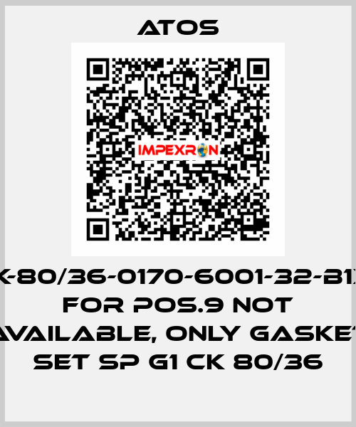 CK-80/36-0170-6001-32-B1X1 for Pos.9 not available, only gasket set SP G1 CK 80/36 Atos
