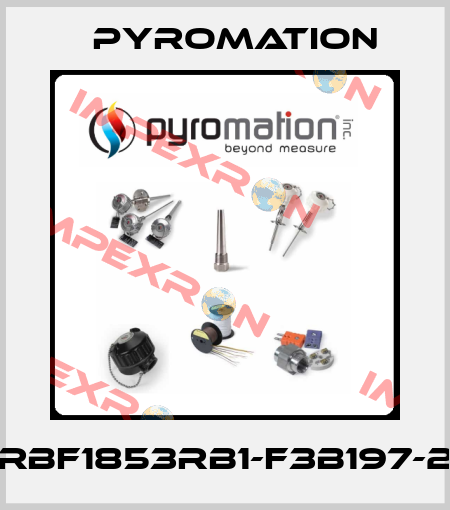 RBF1853RB1-F3B197-2 Pyromation