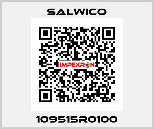 109515R0100 Salwico