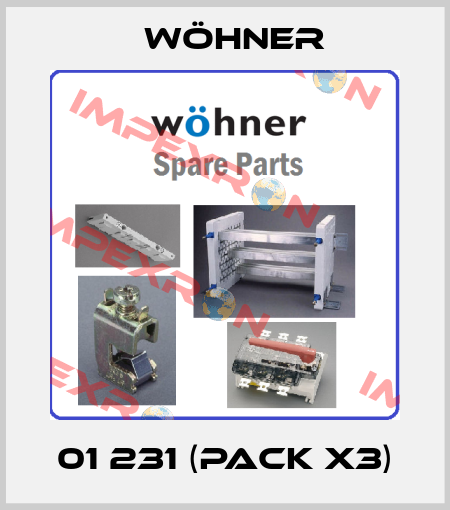 01 231 (pack x3) Wöhner