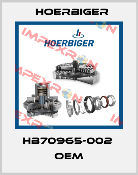 HB70965-002  OEM Hoerbiger