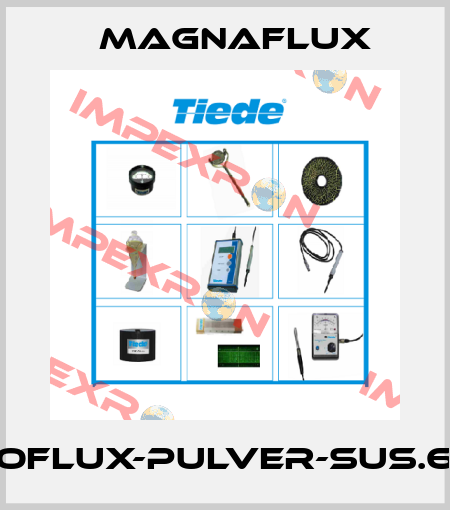 FLUOFLUX-Pulver-SUS.690.1 Magnaflux