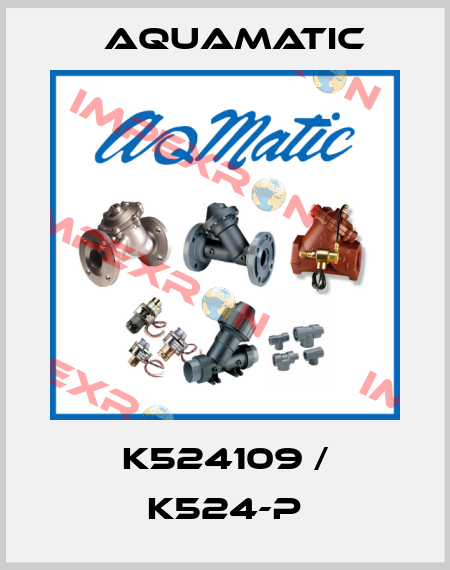 K524109 / K524-P AquaMatic