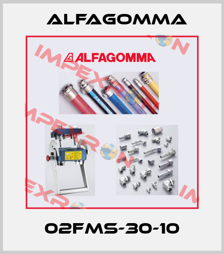 02FMS-30-10 Alfagomma