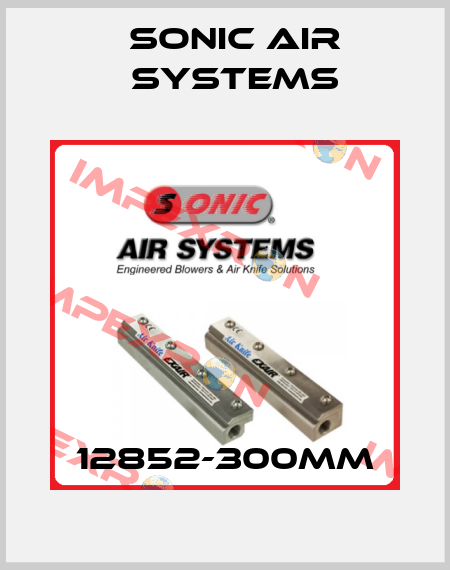 12852-300MM SONIC AIR SYSTEMS