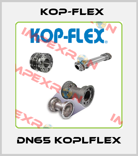 DN65 Koplflex Kop-Flex
