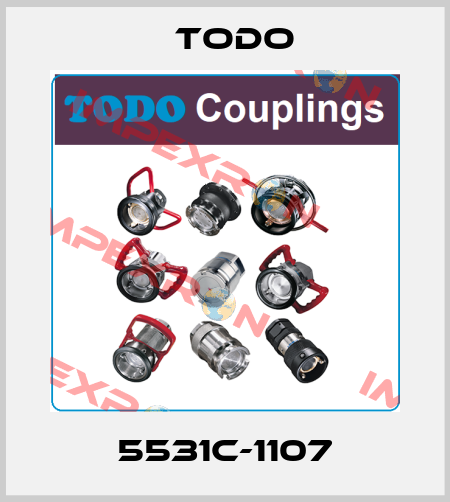 5531C-1107 Todo