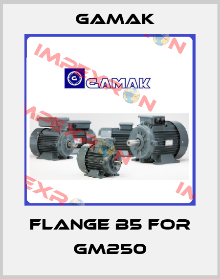 Flange B5 for GM250 Gamak
