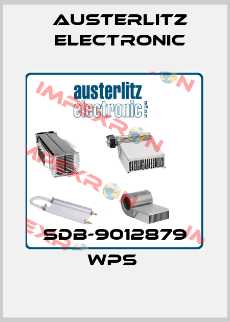 SDB-9012879 WPS  Austerlitz Electronic