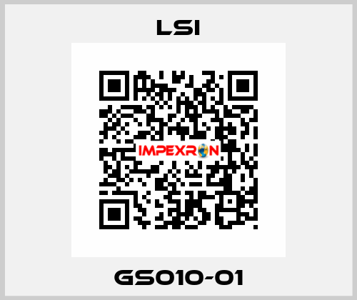 GS010-01 LSI