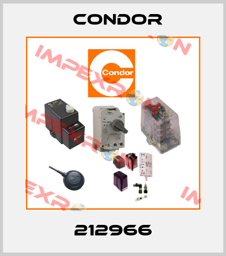212966 Condor