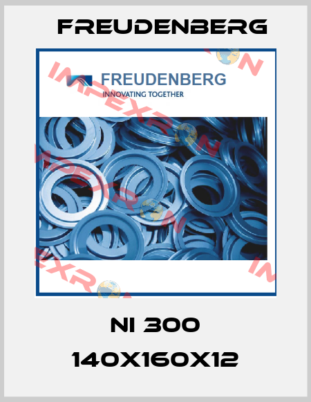 NI 300 140X160X12 Freudenberg