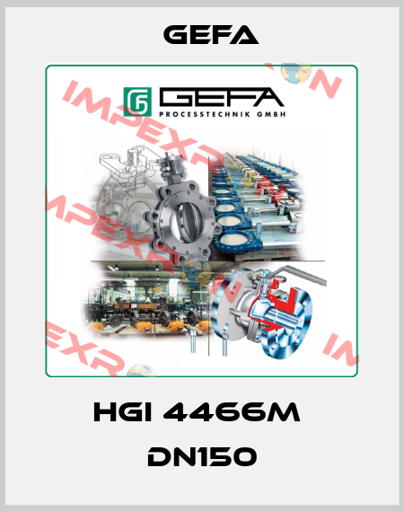 HGI 4466M  DN150 Gefa