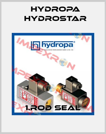 1.ROD SEAL Hydropa Hydrostar