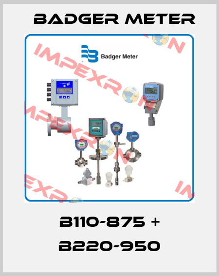 B110-875 + B220-950 Badger Meter