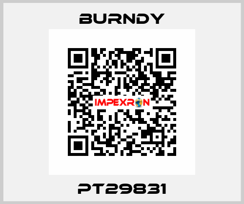 PT29831 Burndy