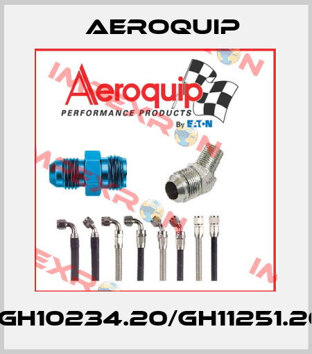 GH506.20/GH10234.20/GH11251.20/6000MM Aeroquip