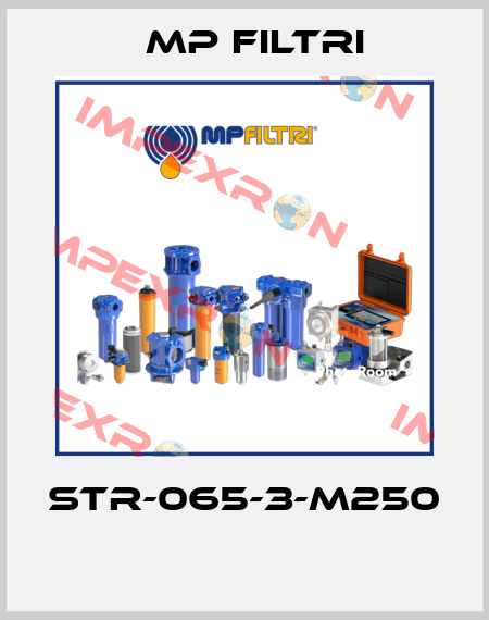 STR-065-3-M250  MP Filtri