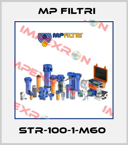 STR-100-1-M60  MP Filtri