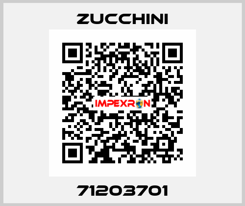 71203701 Zucchini