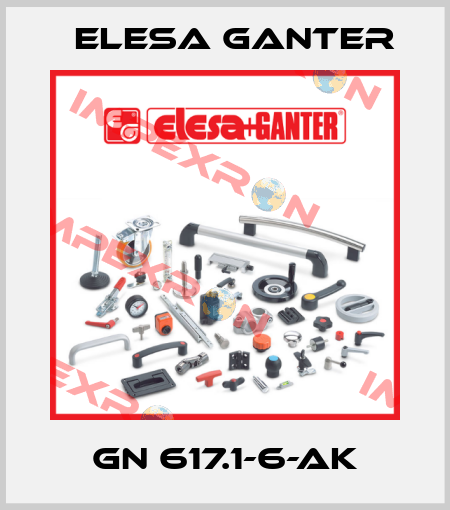 GN 617.1-6-AK Elesa Ganter
