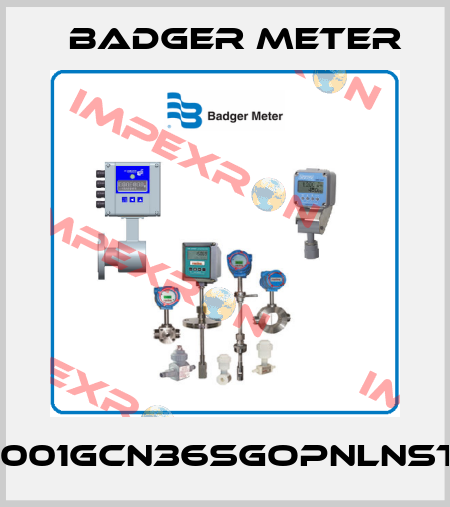 1001GCN36SGOPNLNST Badger Meter