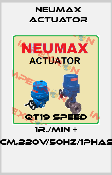 QT19 speed 1r./min + PCM,220V/50Hz/1Phase Neumax Actuator