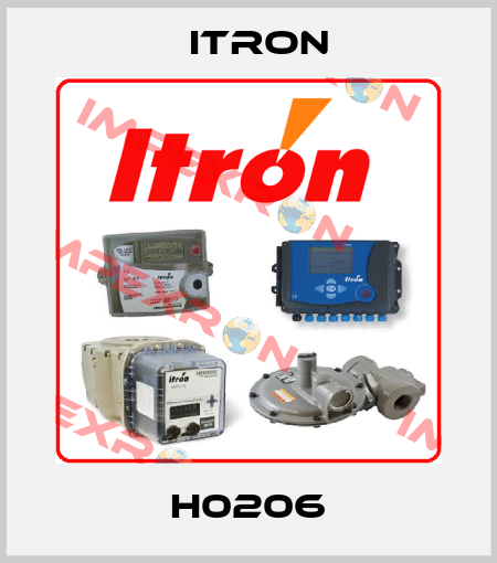 H0206 Itron