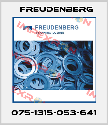 075-1315-053-641 Freudenberg