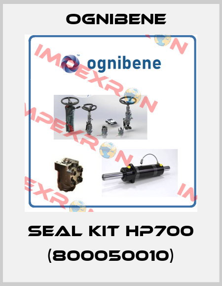 seal kit HP700 (800050010) Ognibene