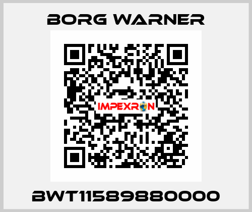 BWT11589880000 Borg Warner