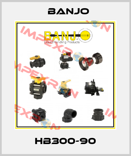 HB300-90 Banjo