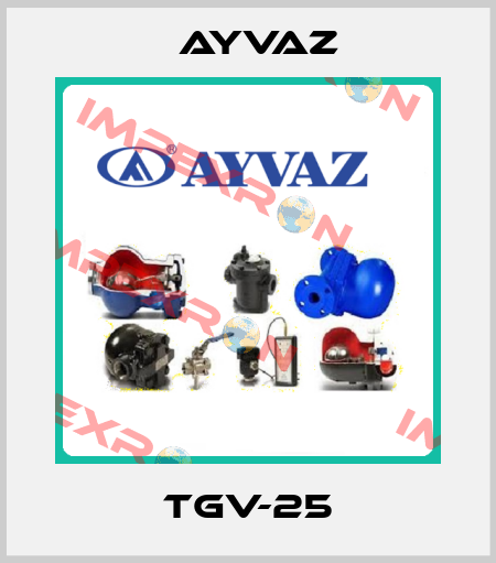 TGV-25 Ayvaz