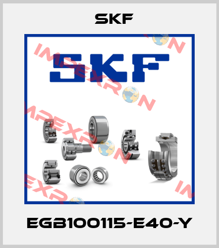 EGB100115-E40-Y Skf