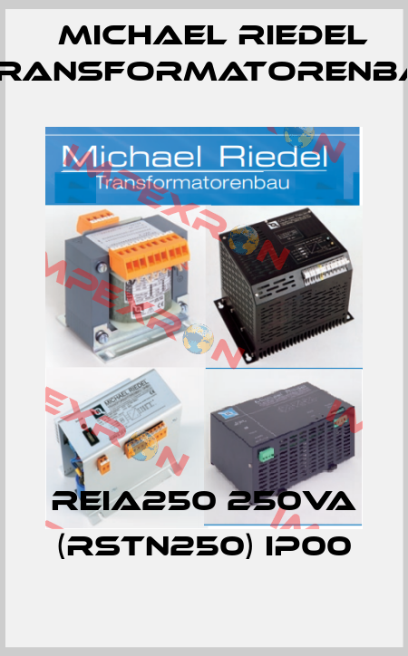 REIA250 250VA (RSTN250) IP00 Michael Riedel Transformatorenbau