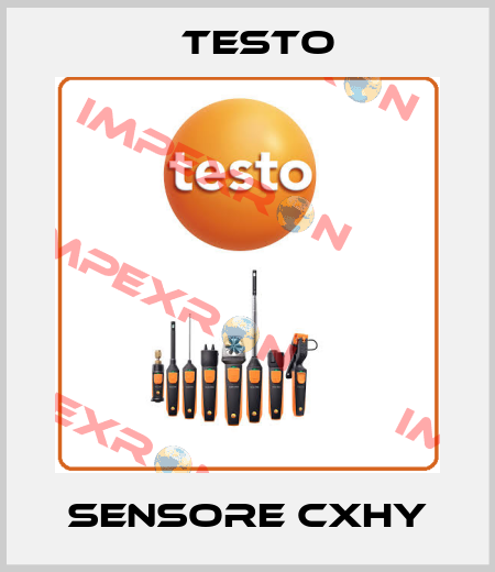 Sensore CxHy Testo