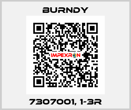 7307001, 1-3R Burndy