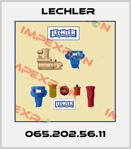 065.202.56.11 Lechler